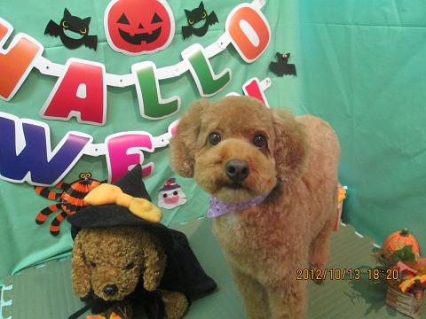 ファイル 5134-2.jpg