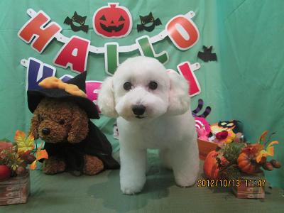 ファイル 5135-2.jpg