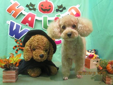 ファイル 5137-2.jpg