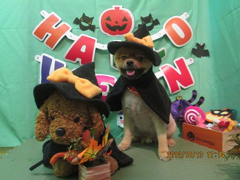 ファイル 5138-1.jpg