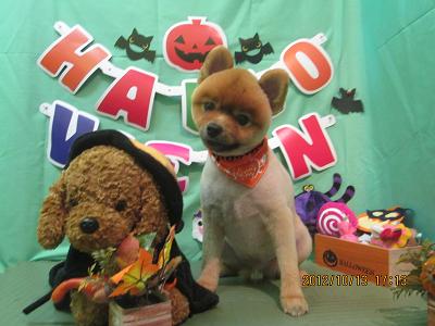 ファイル 5138-2.jpg