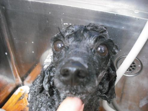 ファイル 514-2.jpg