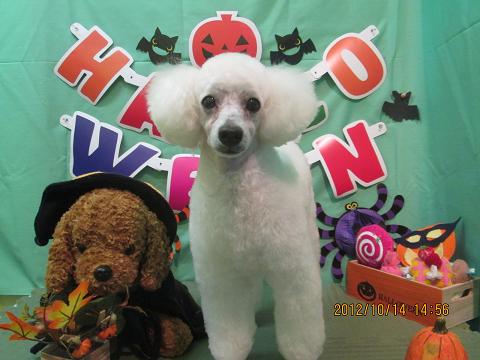 ファイル 5141-2.jpg