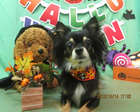 ファイル 5142-1.jpg