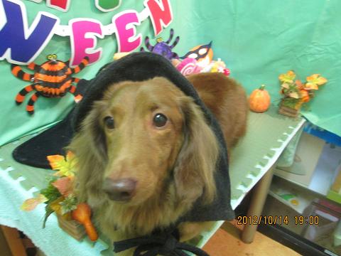 ファイル 5143-1.jpg