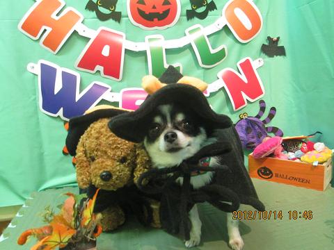 ファイル 5144-1.jpg