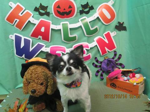 ファイル 5144-2.jpg