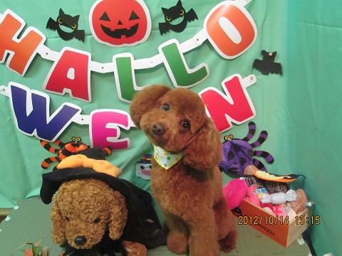 ファイル 5145-2.jpg