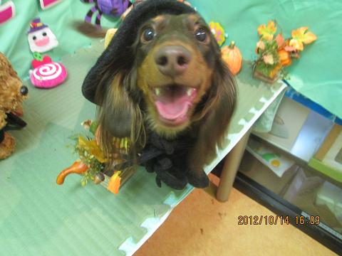 ファイル 5148-1.jpg