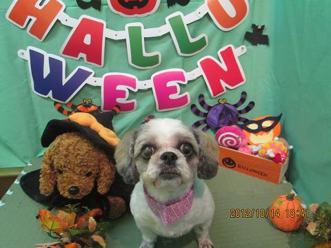 ファイル 5149-2.jpg