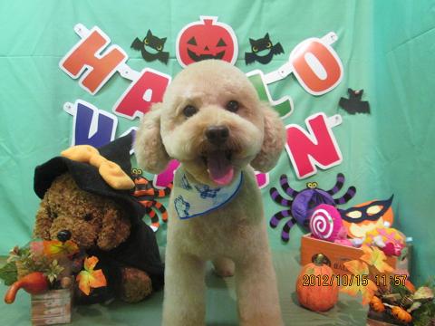 ファイル 5153-2.jpg