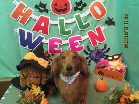 ファイル 5155-2.jpg