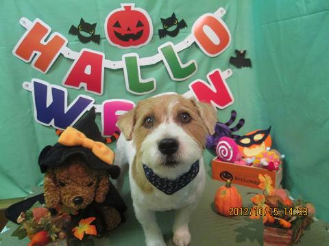 ファイル 5156-2.jpg