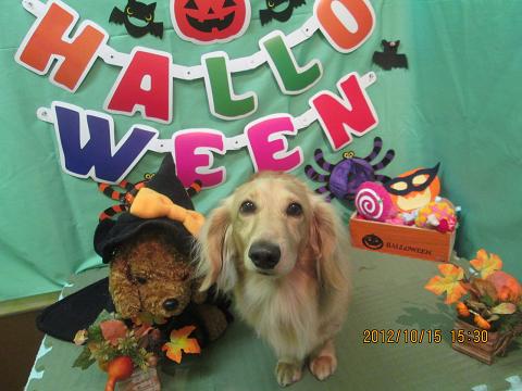 ファイル 5157-2.jpg