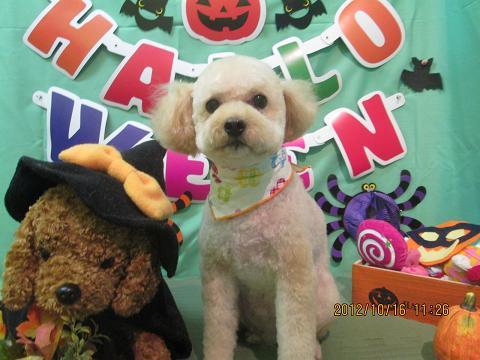 ファイル 5159-2.jpg