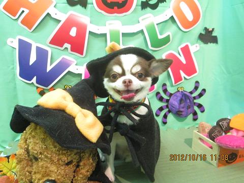 ファイル 5160-1.jpg