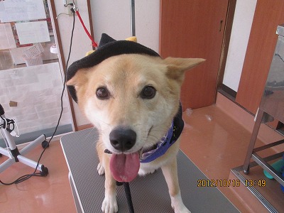 ファイル 5163-1.jpg