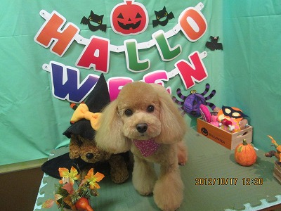 ファイル 5167-2.jpg