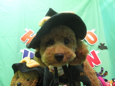 ファイル 5169-1.jpg