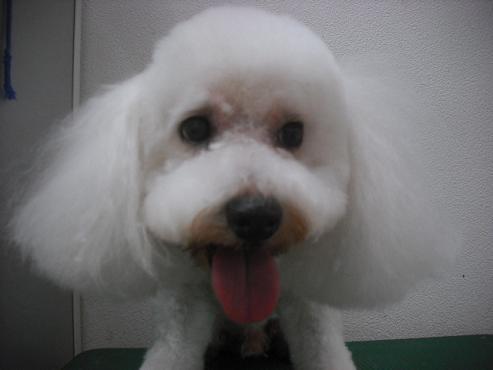 ファイル 517-2.jpg