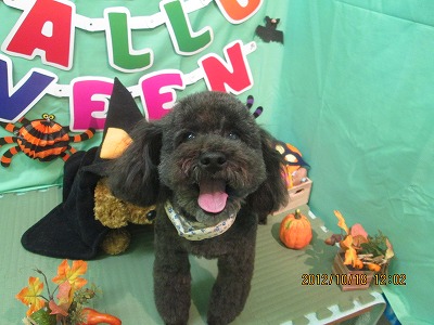 ファイル 5170-2.jpg