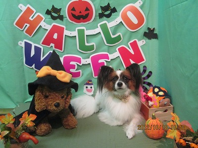 ファイル 5172-2.jpg