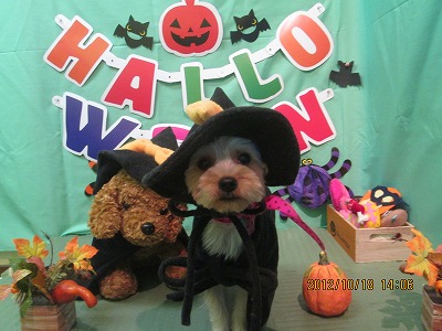 ファイル 5173-1.jpg