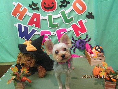 ファイル 5173-2.jpg