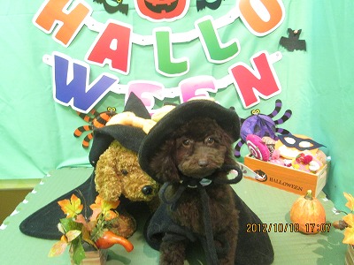 ファイル 5174-1.jpg