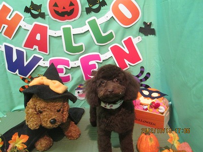 ファイル 5174-2.jpg