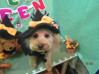 ファイル 5175-2.jpg