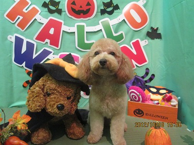 ファイル 5176-2.jpg