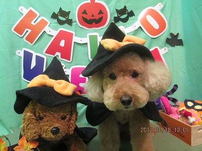 ファイル 5177-1.jpg