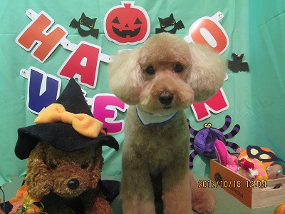 ファイル 5177-2.jpg