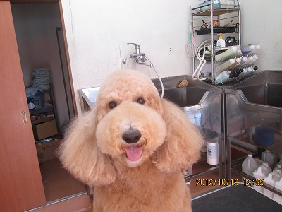 ファイル 5178-2.jpg