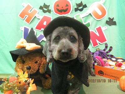 ファイル 5179-1.jpg