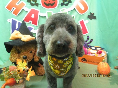 ファイル 5179-2.jpg