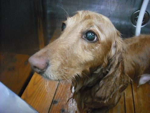 ファイル 518-2.jpg