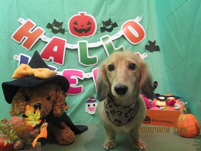 ファイル 5180-2.jpg