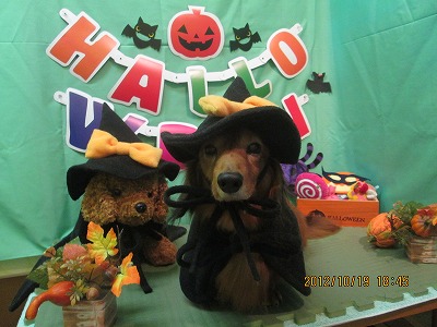 ファイル 5181-1.jpg