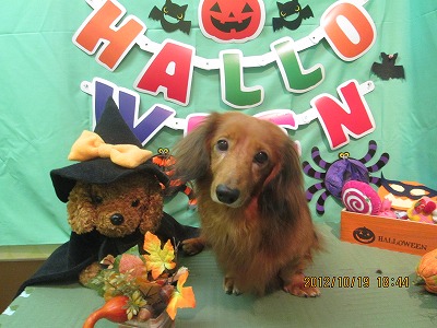 ファイル 5181-2.jpg