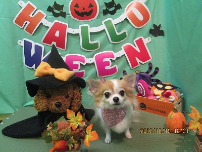 ファイル 5182-2.jpg