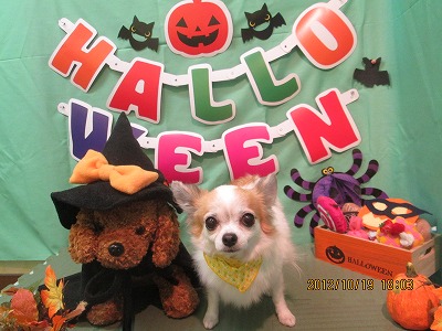 ファイル 5183-2.jpg