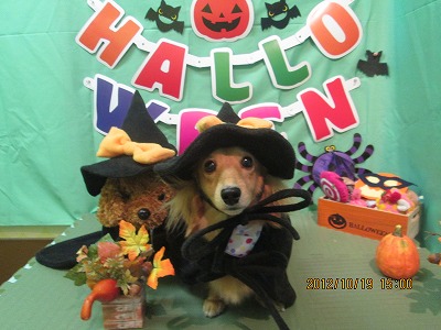 ファイル 5184-1.jpg