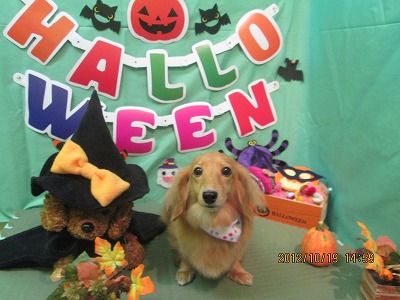 ファイル 5184-2.jpg