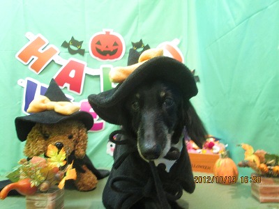 ファイル 5185-1.jpg