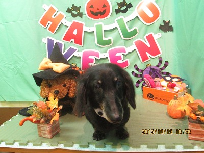 ファイル 5185-2.jpg