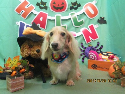 ファイル 5186-2.jpg