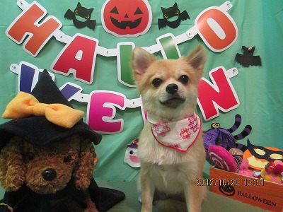 ファイル 5187-2.jpg