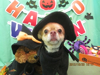 ファイル 5188-1.jpg